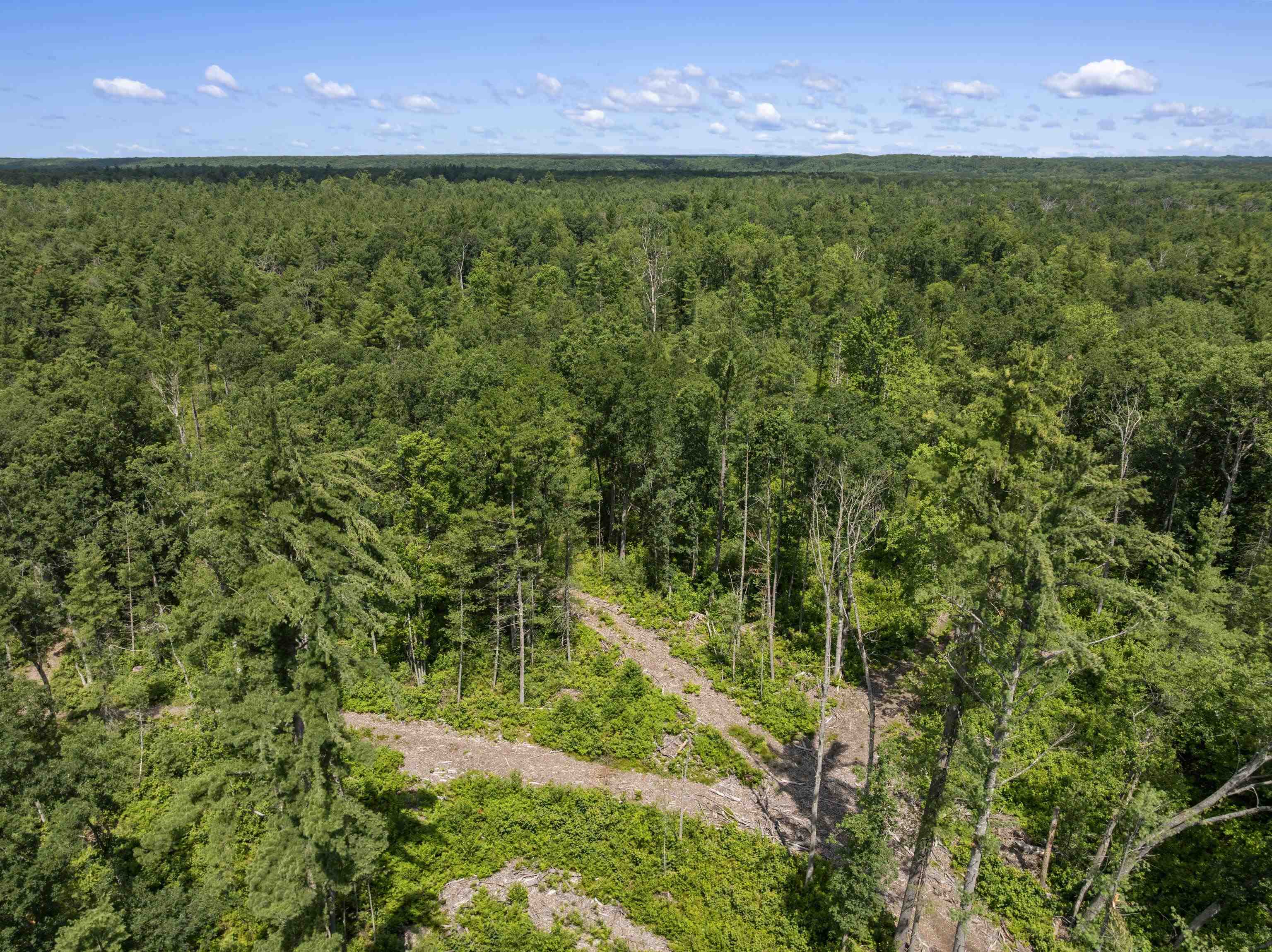 48 West 48 1/2 Road Wellston, MI 49689 - Photo 6 of 12 1948446-91d99cbf-4c5e-441b-bf7b-ad8ccb2df00d.JPG