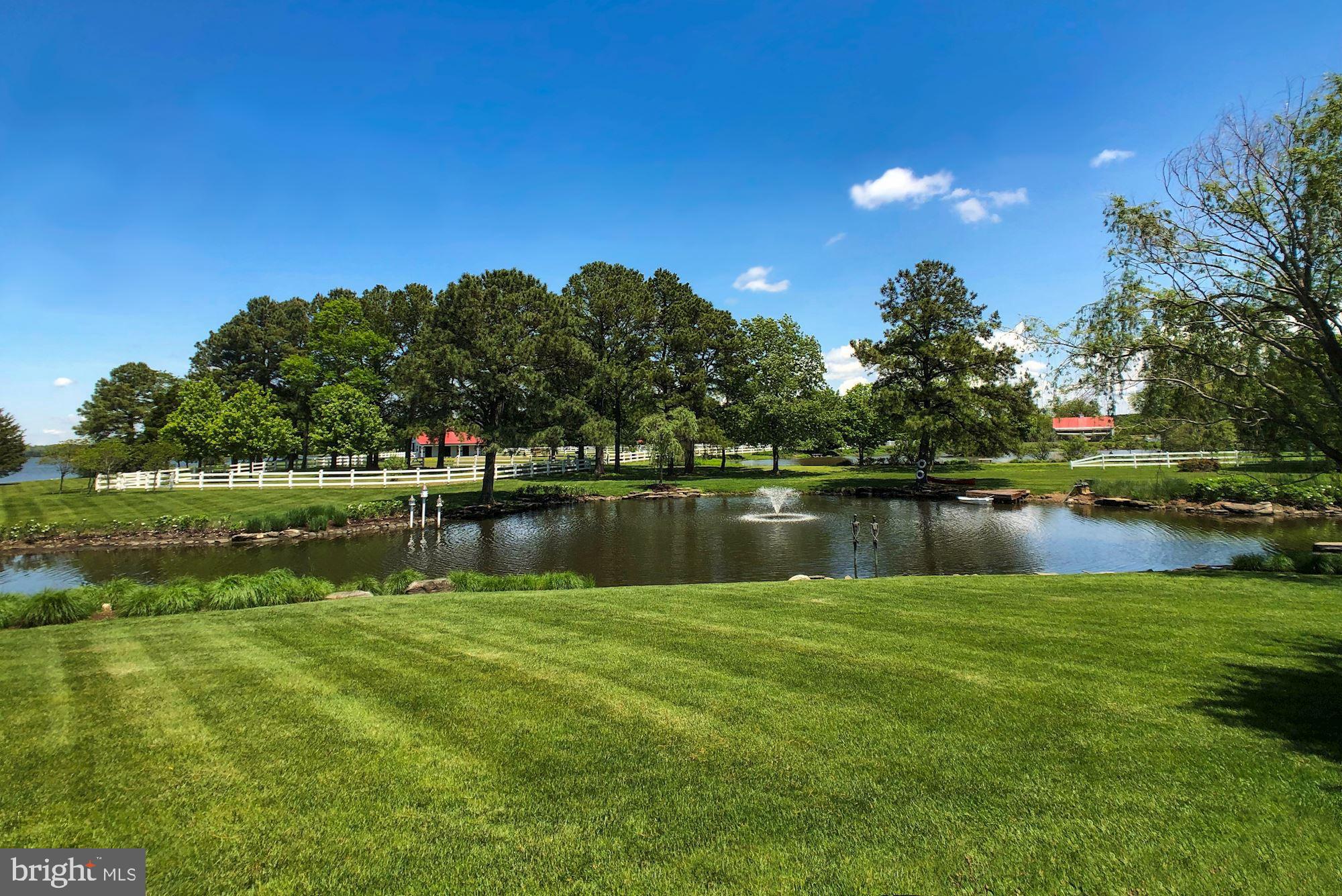 26310 St Michaels Road Easton, MD 21601 - Photo 109 of 122 Pond