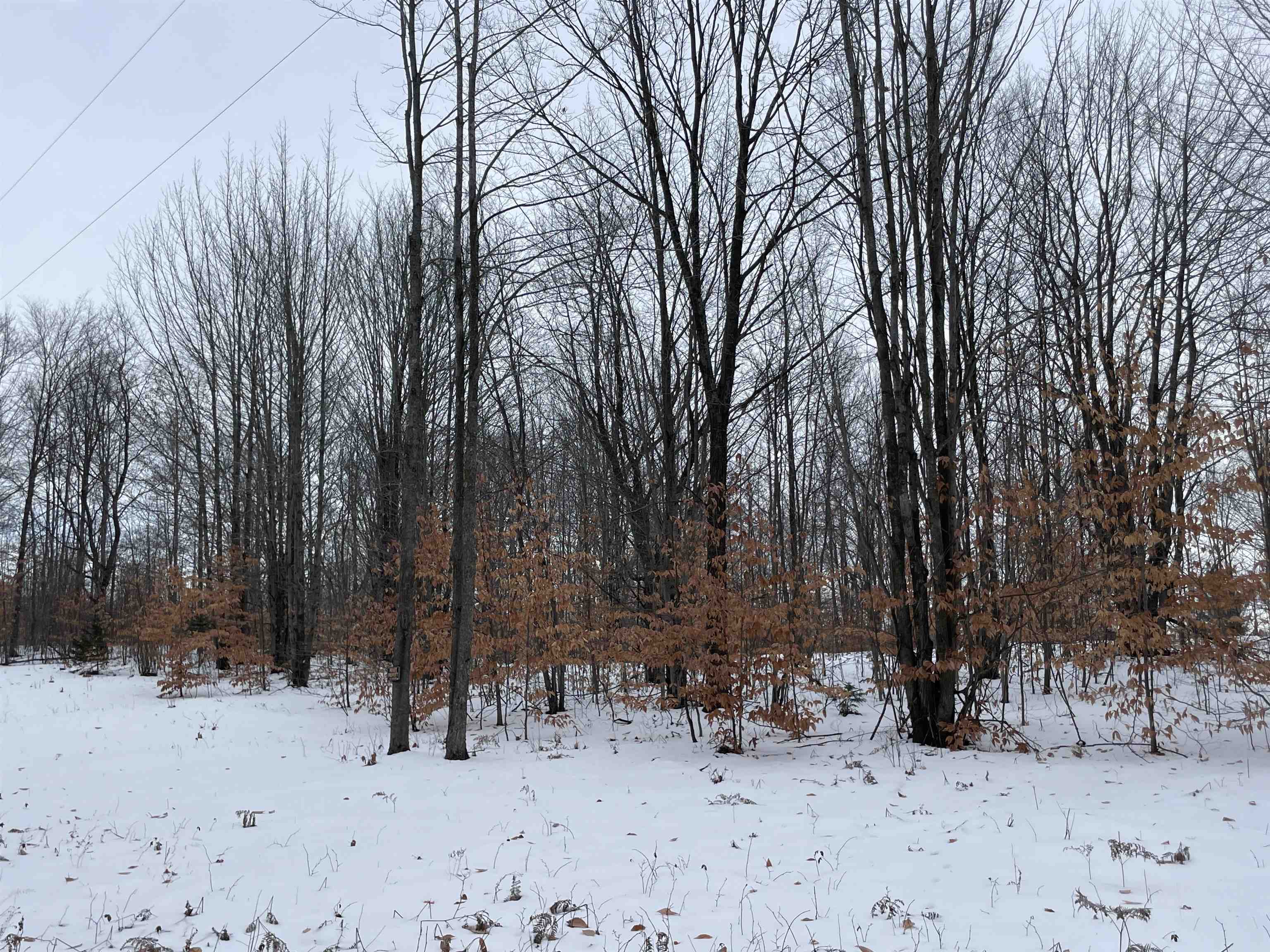 North Turnerville Road Lake City, MI 49651 - Photo 6 of 7