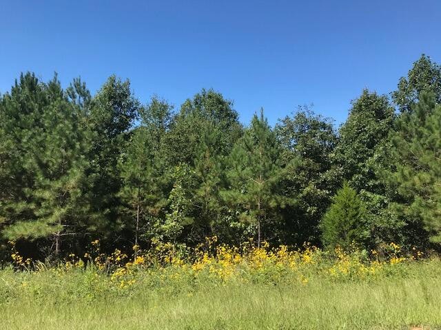 7 Athens Road Calhoun, TN 37309 - Photo 1 of 5