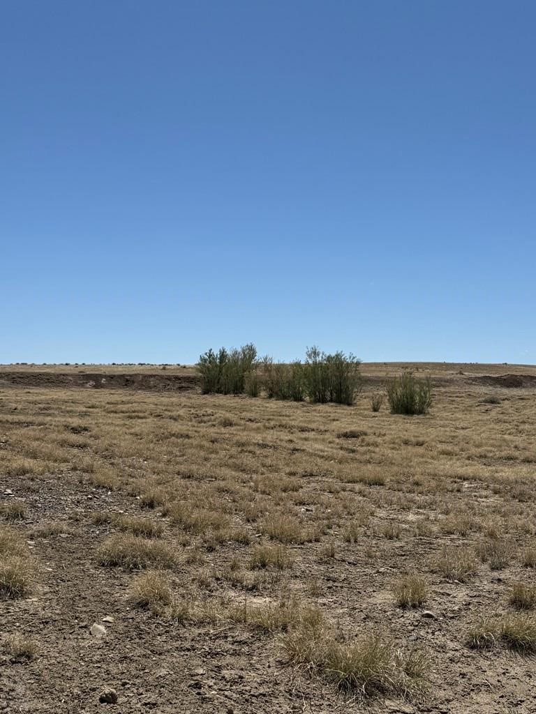 60000 Huckleberry Road Boone, CO 81025 - Photo 3 of 8