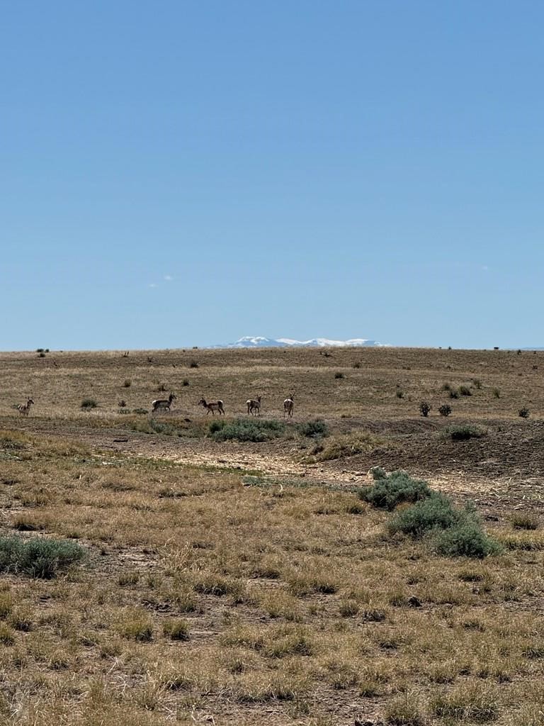 60000 Huckleberry Road Boone, CO 81025 - Photo 7 of 8