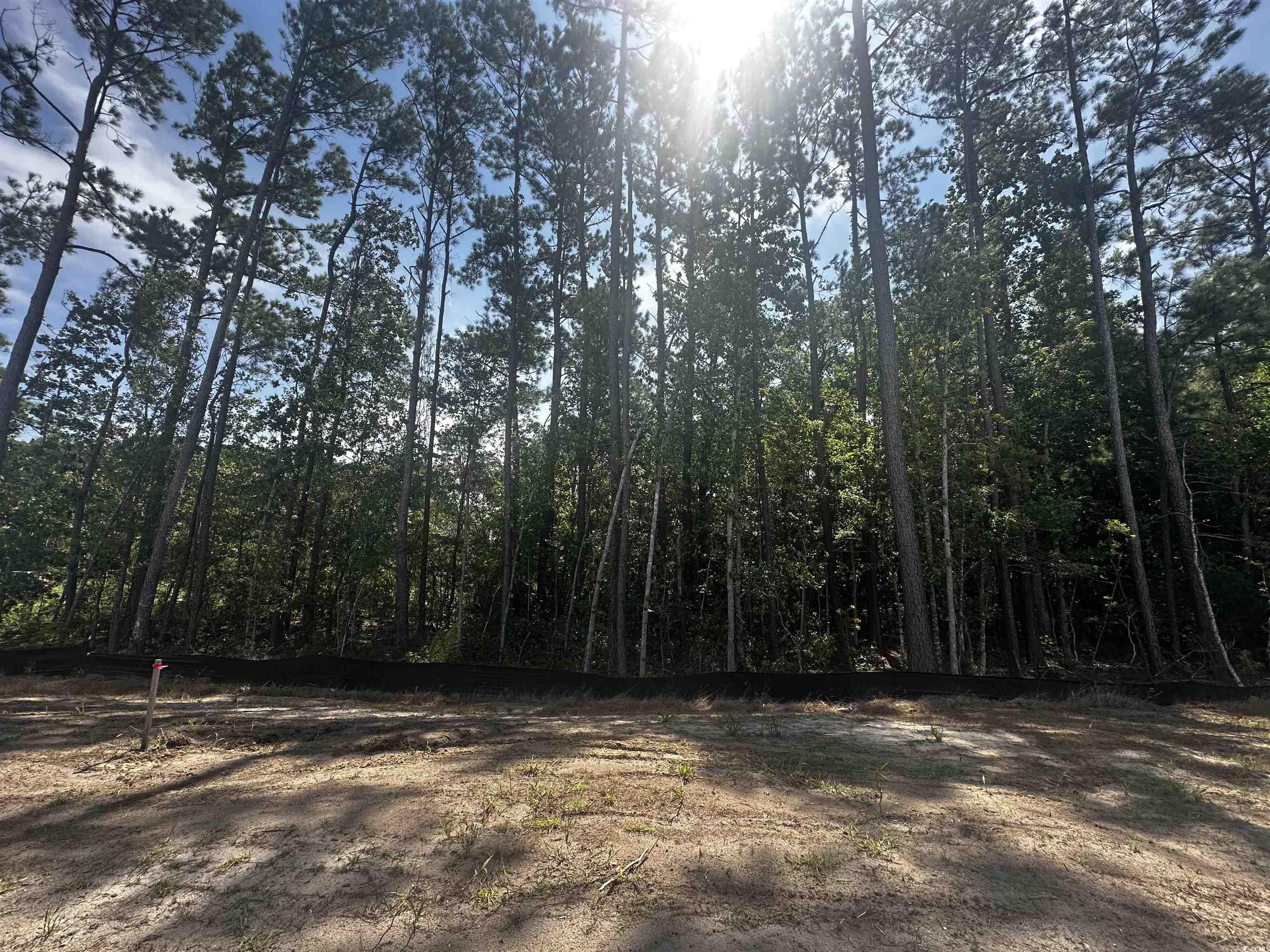 400 Ireland Way, Unit 405 Murrells Inlet, SC 29576 - Photo 20 of 22 View of yard featuring a wooded view