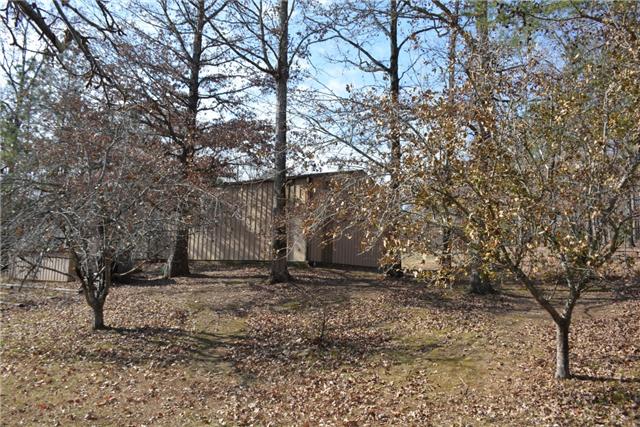 180 Taylor Road Dickson, TN 37055 - Photo 14 of 20 Apple trees, blackberries, etc.