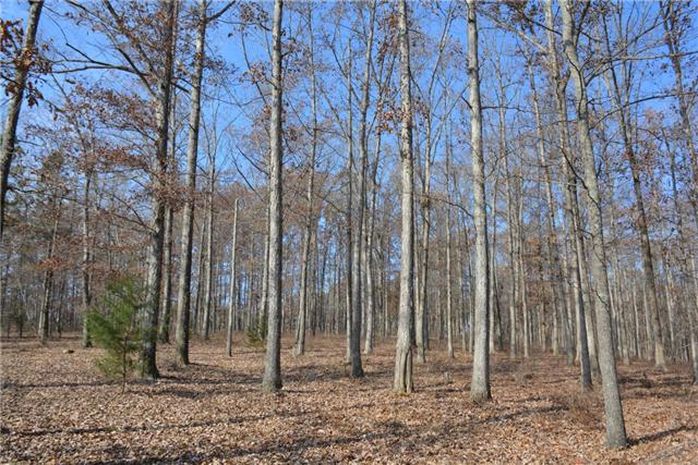 180 Taylor Road Dickson, TN 37055 - Photo 20 of 20 Woods near the shop.