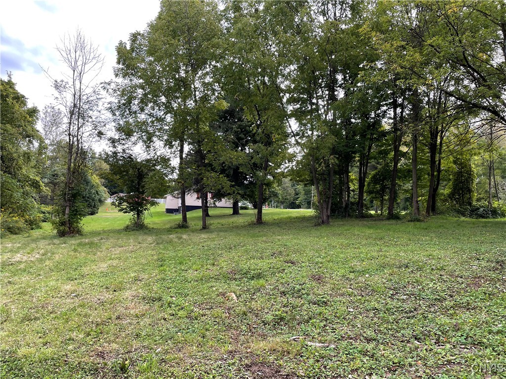 2909 Turnpike Road Sennett, NY 13021 - Photo 5 of 29