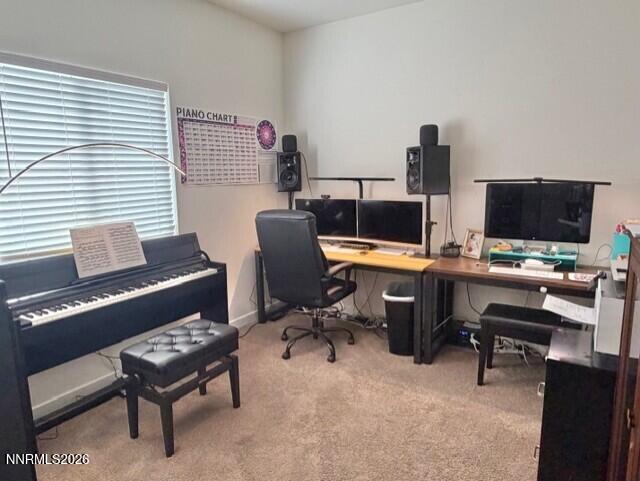 355 Agate Lane Fallon, NV 89406 - Photo 3 of 15 11