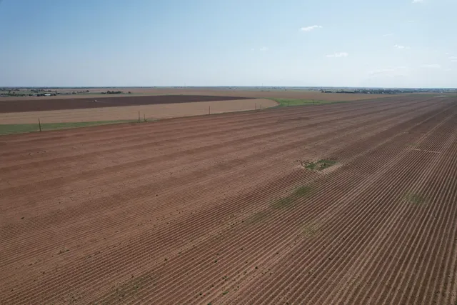 a view of an ocean beach