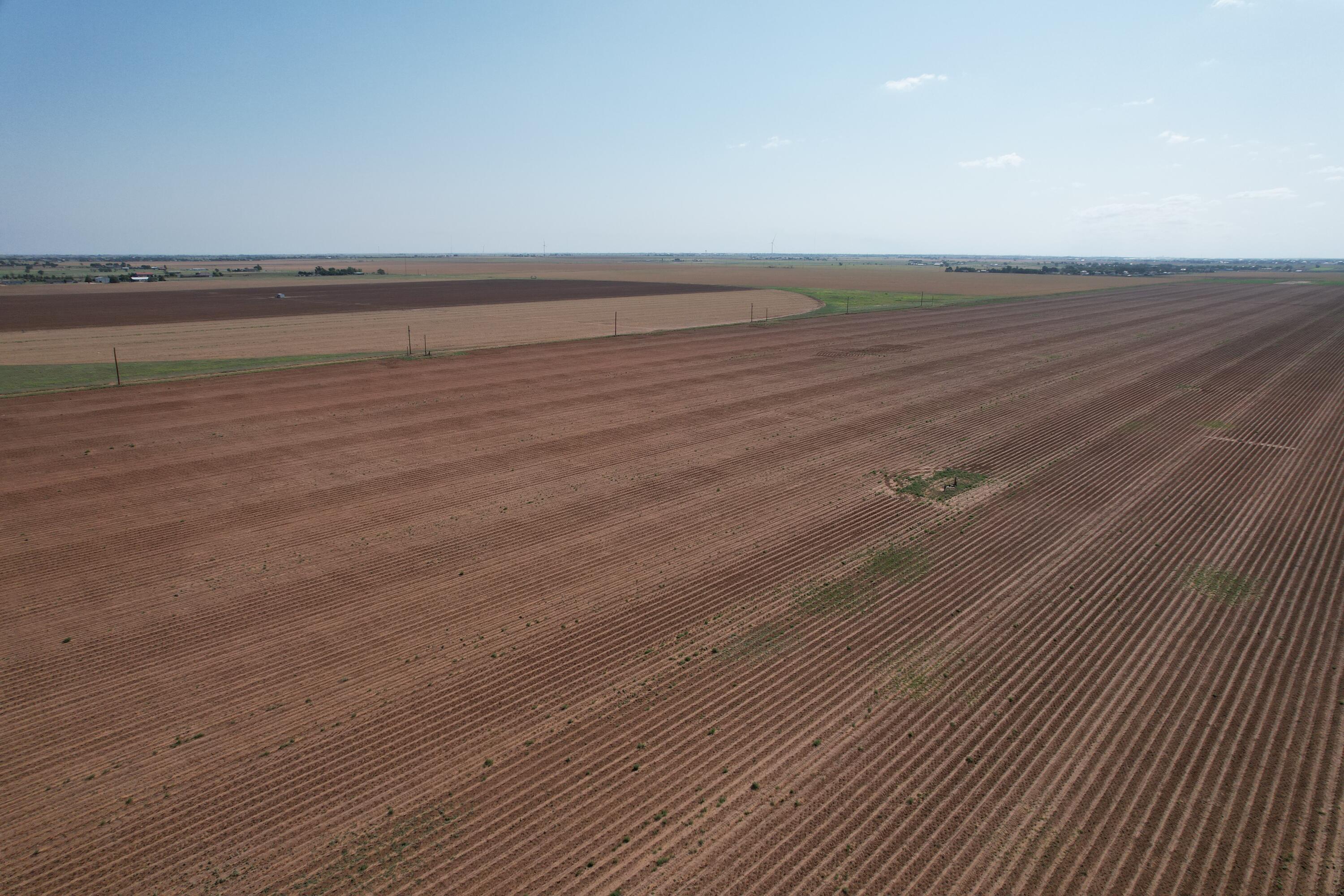 a view of an ocean beach