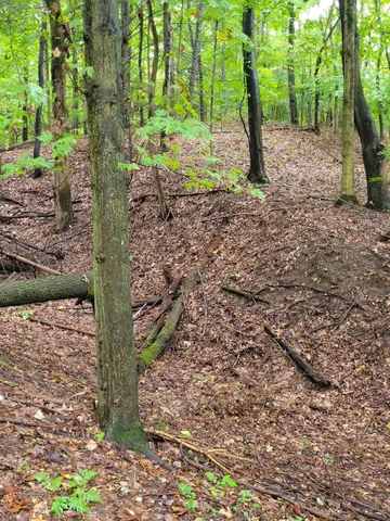 $49,900 | 1500 West Bertrand Road, Niles, MI 49120