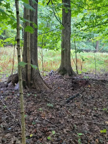 $49,900 | 1500 West Bertrand Road, Niles, MI 49120