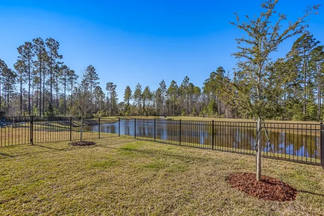 a view of lake with a tree