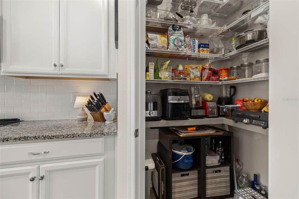 367 August Fern Loop Mount Dora, FL 32757 - Photo 8 of 90