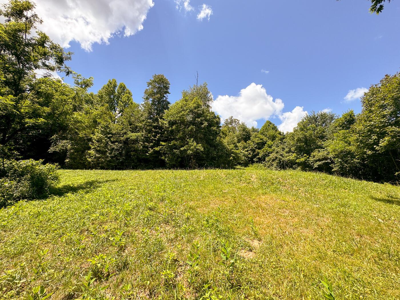 4313 Flint Ridge Road Northeast, Unit INT RIDGE TRACT 18 ACRE) Crooksville, OH 43731 - Photo 47 of 53 CT-47
