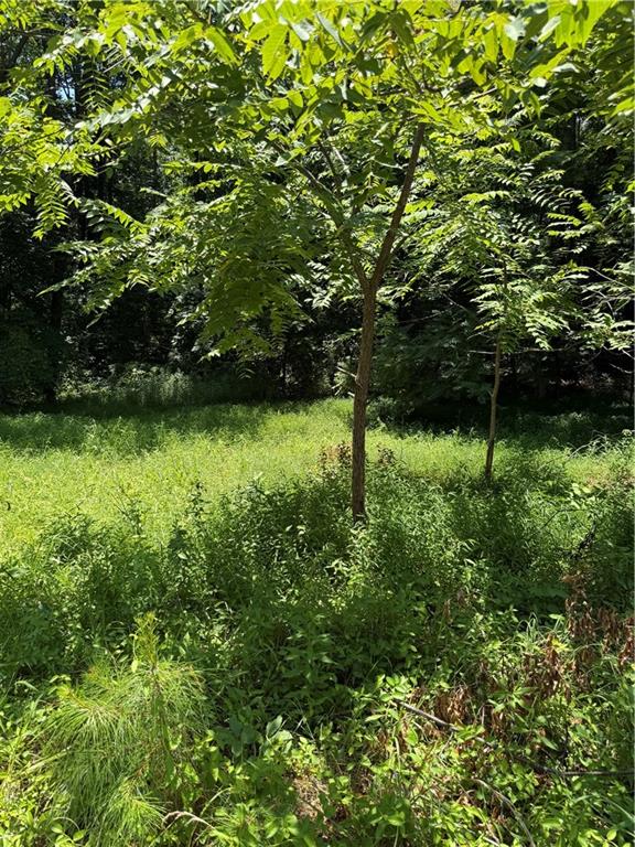 217 Bagwell Garland Road Canton, GA 30115 - Photo 12 of 14