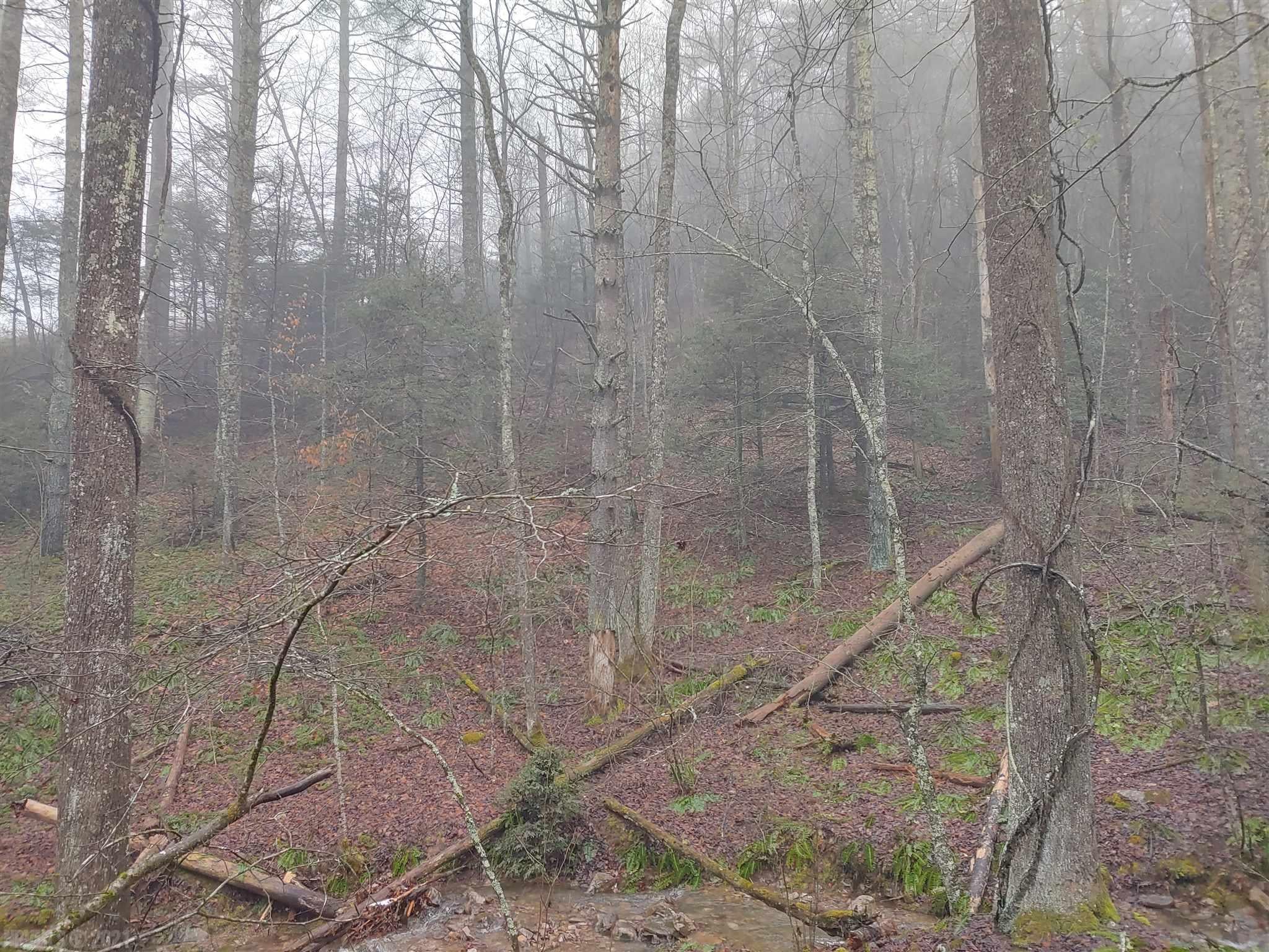 Tbd Tbd Macks Mtn Road Indian Valley, VA 24105 - Photo 7 of 27 Gallery Image 7