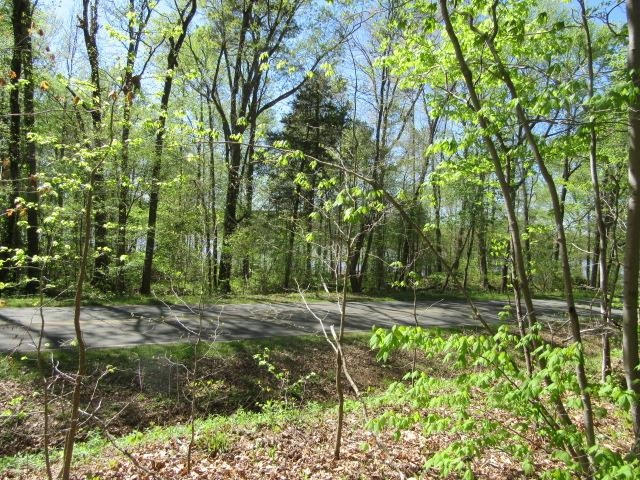 9563 George Ruff Road Bullock, NC 27507 - Photo 4 of 5 Photo 4