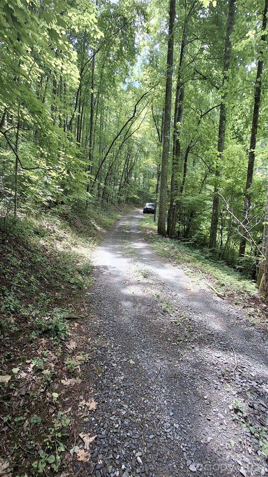 0 Dry Creek Road Robbinsville, NC 28771 - Photo 14 of 20
