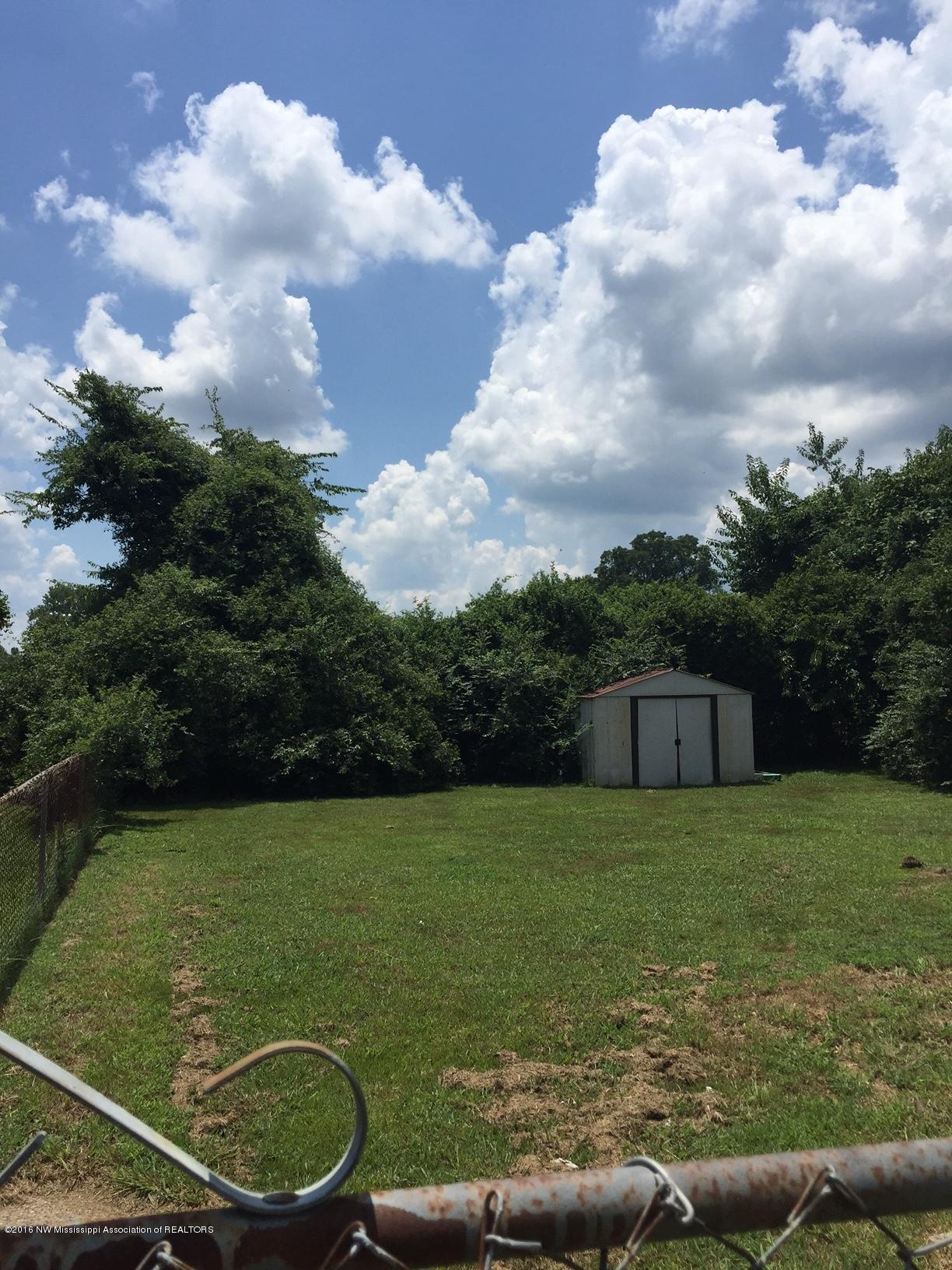 Backyard 2