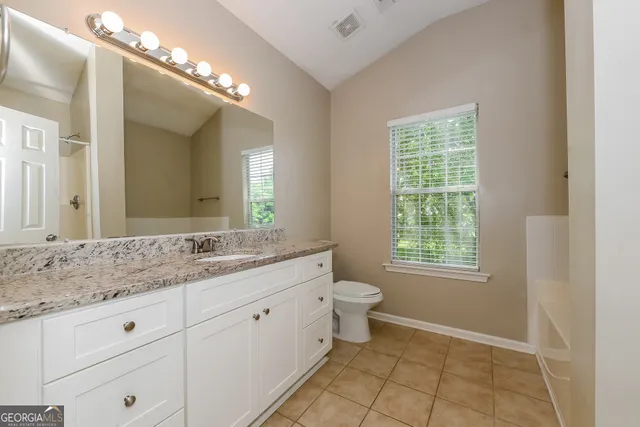 a bathroom with a granite countertop sink a toilet and a mirror