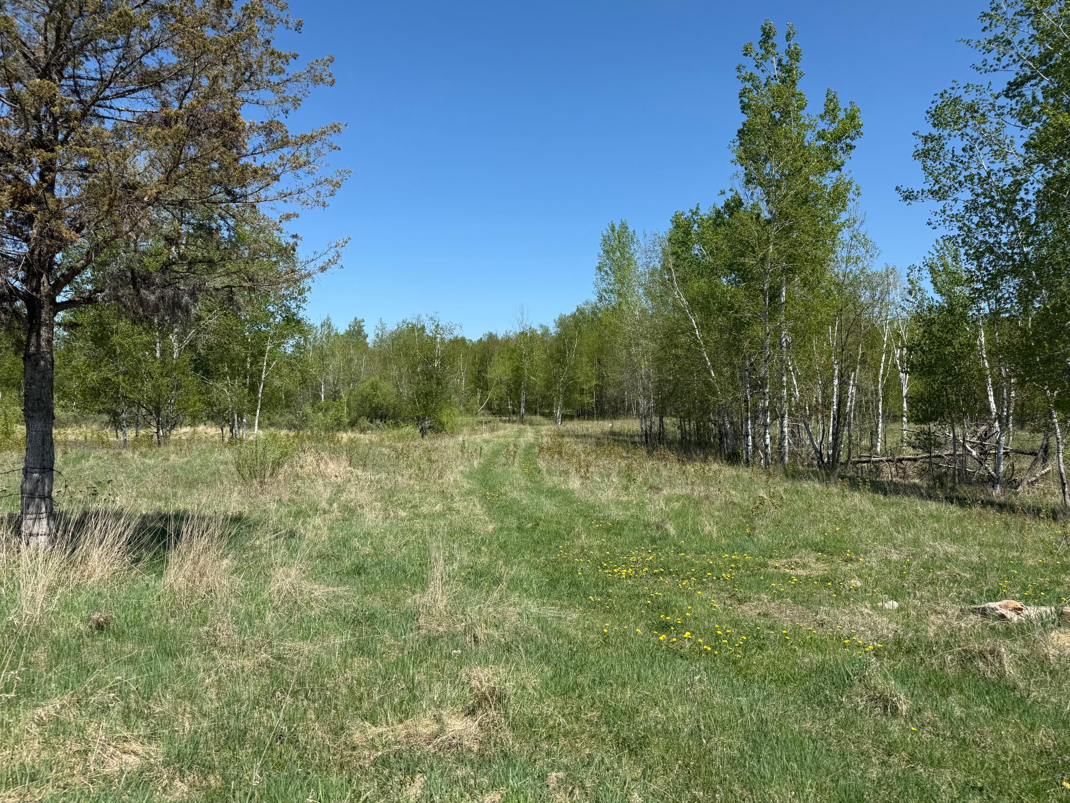 Na Dove Road Hinckley, MN 55037 - Photo 28 of 43