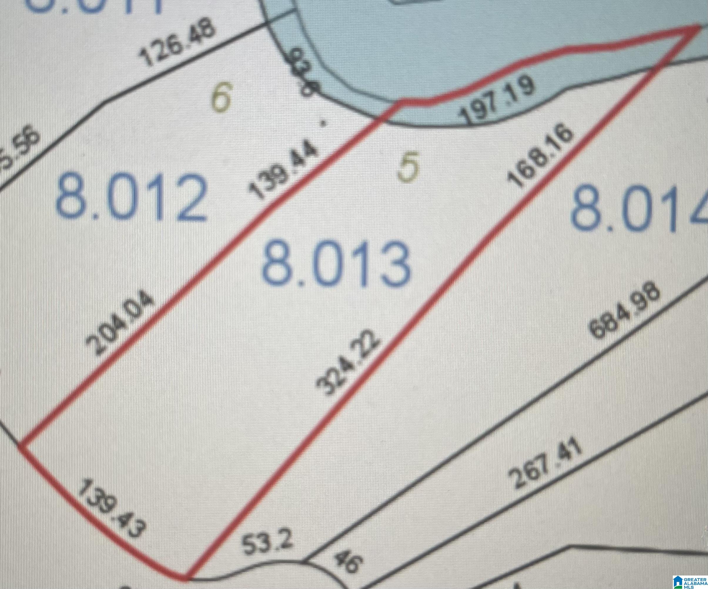Lot 5 Little Dismal Road, Unit 5 Arley, AL 35541 - Photo 12 of 12