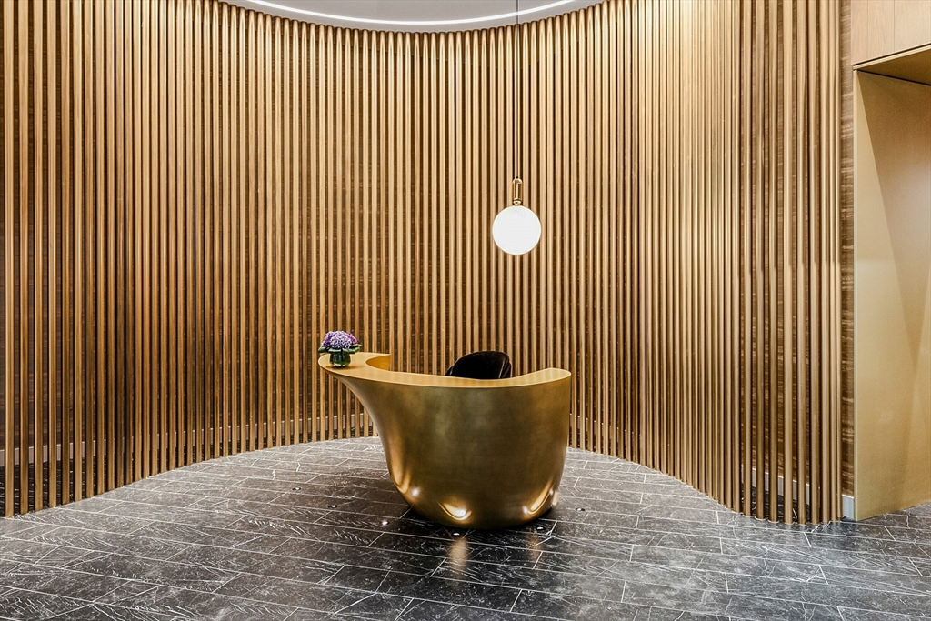 55 Lagrange Street, Unit 1108 Boston, MA 02116 - Photo 25 of 33 a view of a potted plant in front of a door