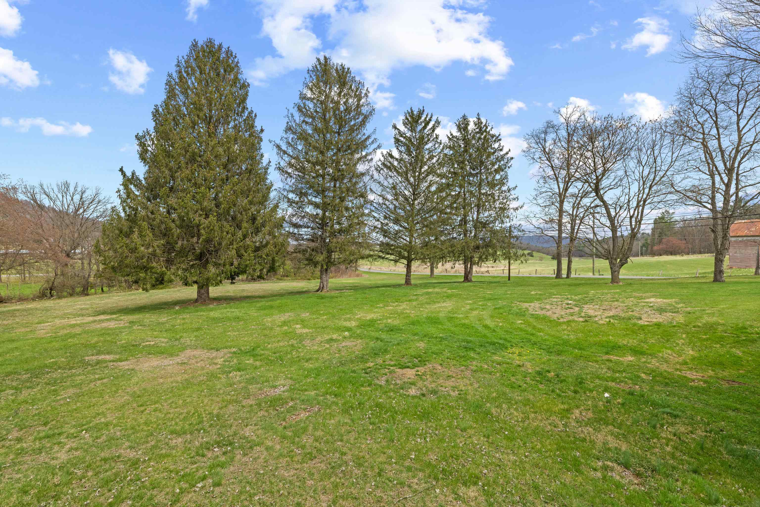 14777 Hopkins Gap Road Fulks Run, VA 22830 - Photo 5 of 65