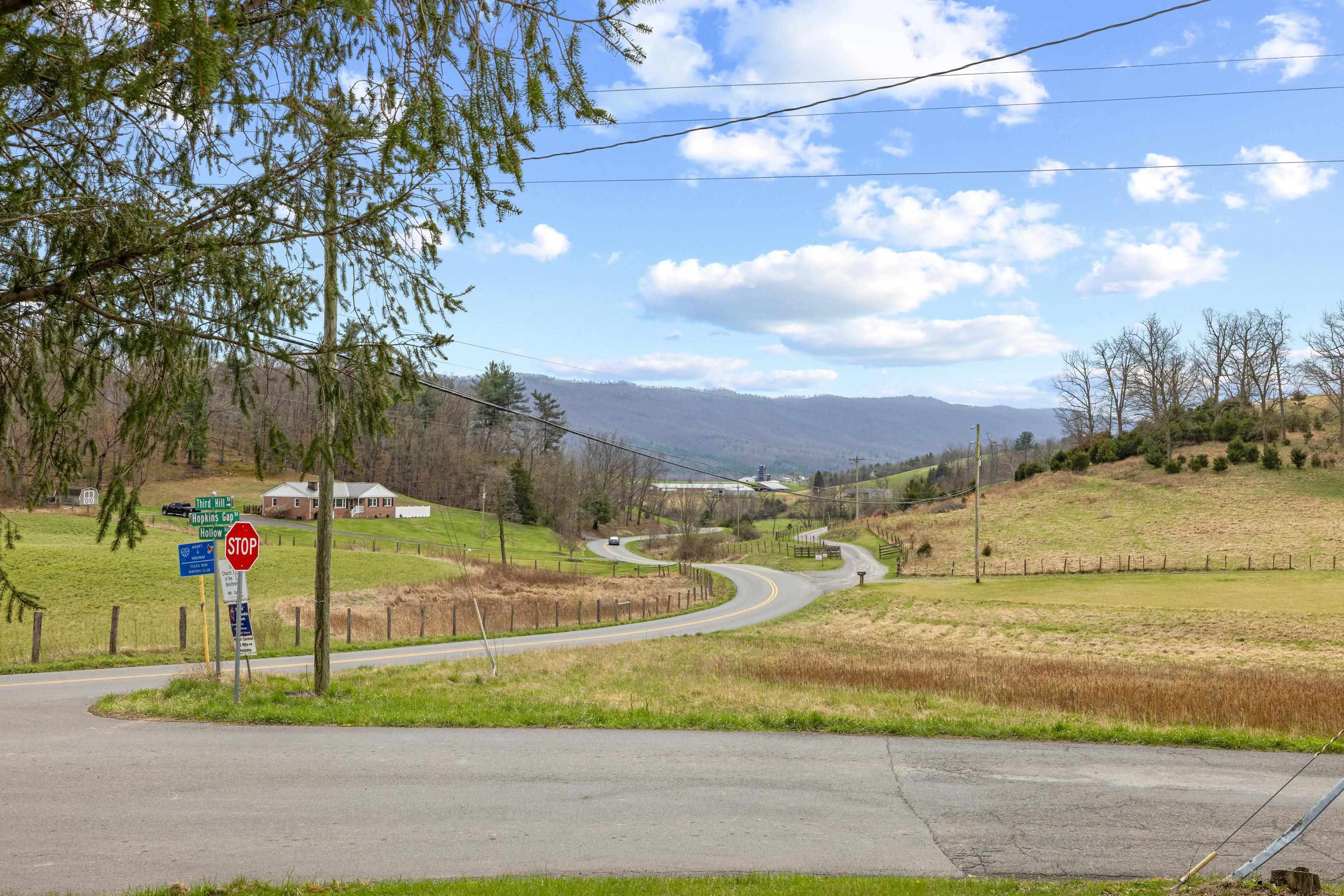 14777 Hopkins Gap Road Fulks Run, VA 22830 - Photo 51 of 65