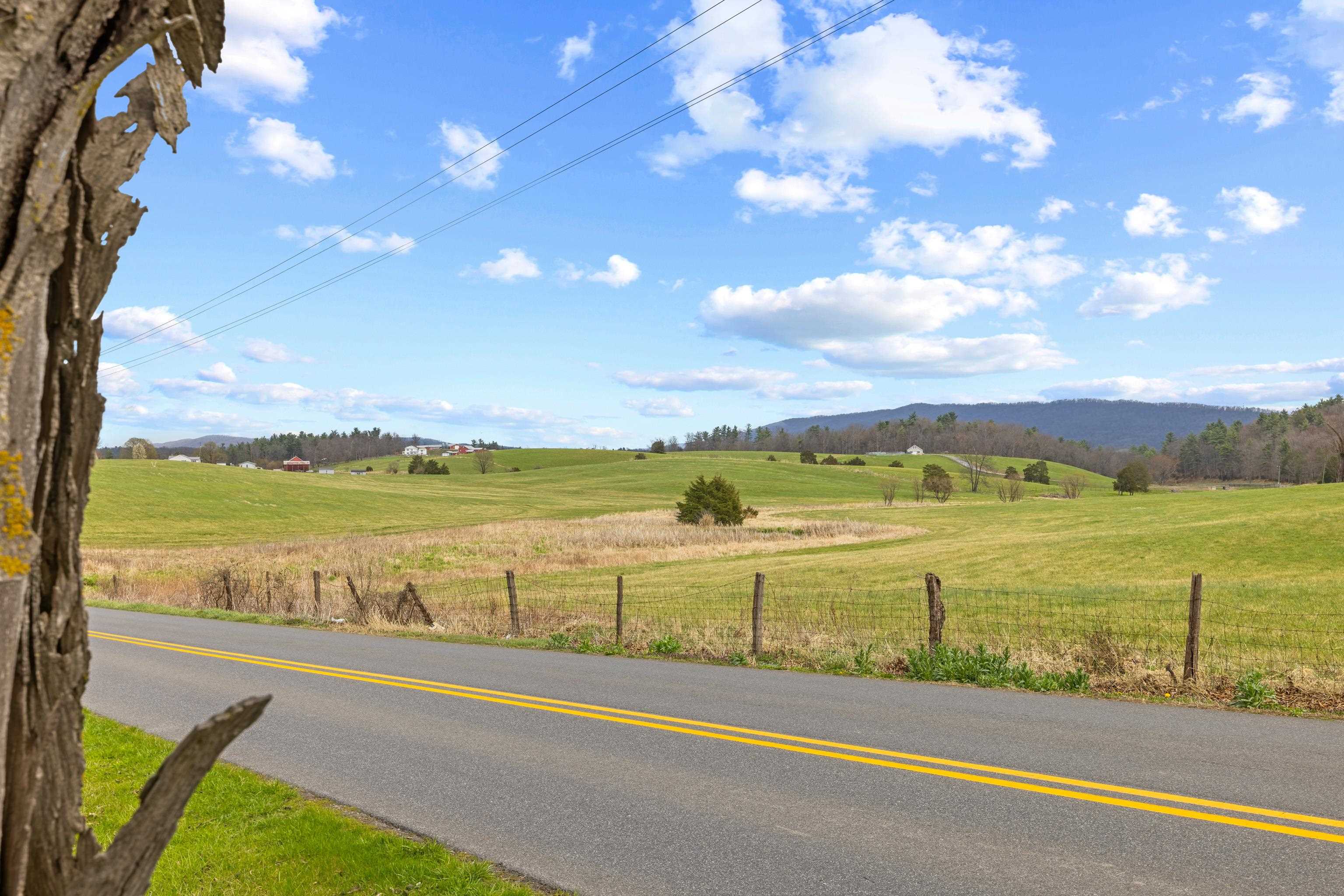 14777 Hopkins Gap Road Fulks Run, VA 22830 - Photo 7 of 65