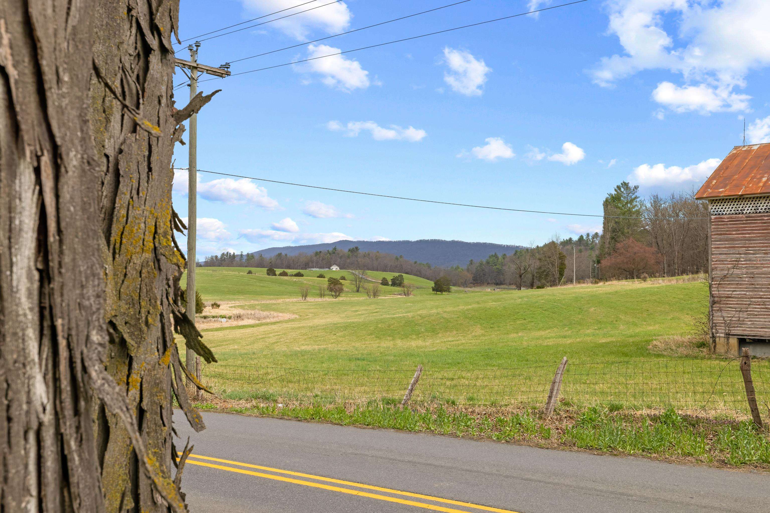 14777 Hopkins Gap Road Fulks Run, VA 22830 - Photo 8 of 65