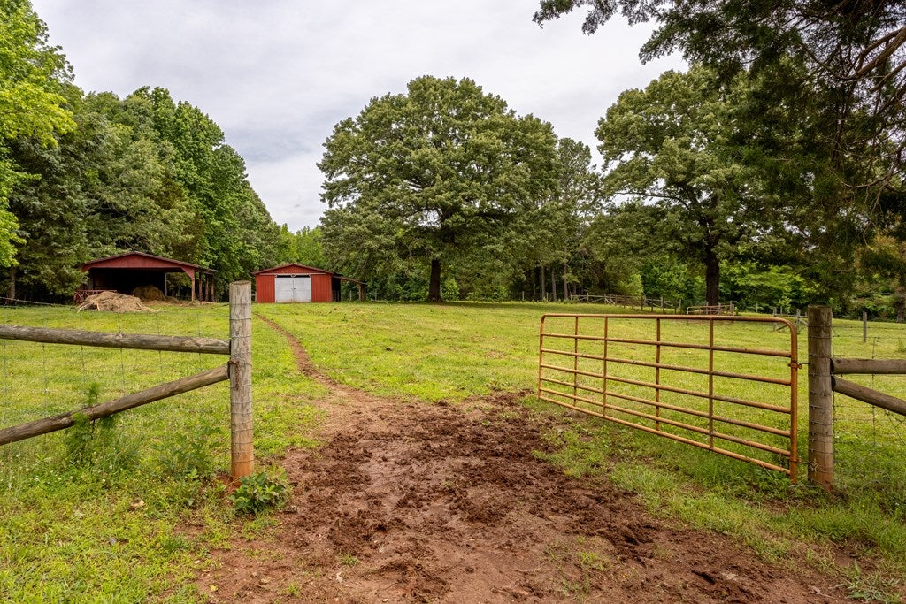 11393 Skipwith Road Chase City, VA 23924 - Photo 34 of 54 Gallery Image 34