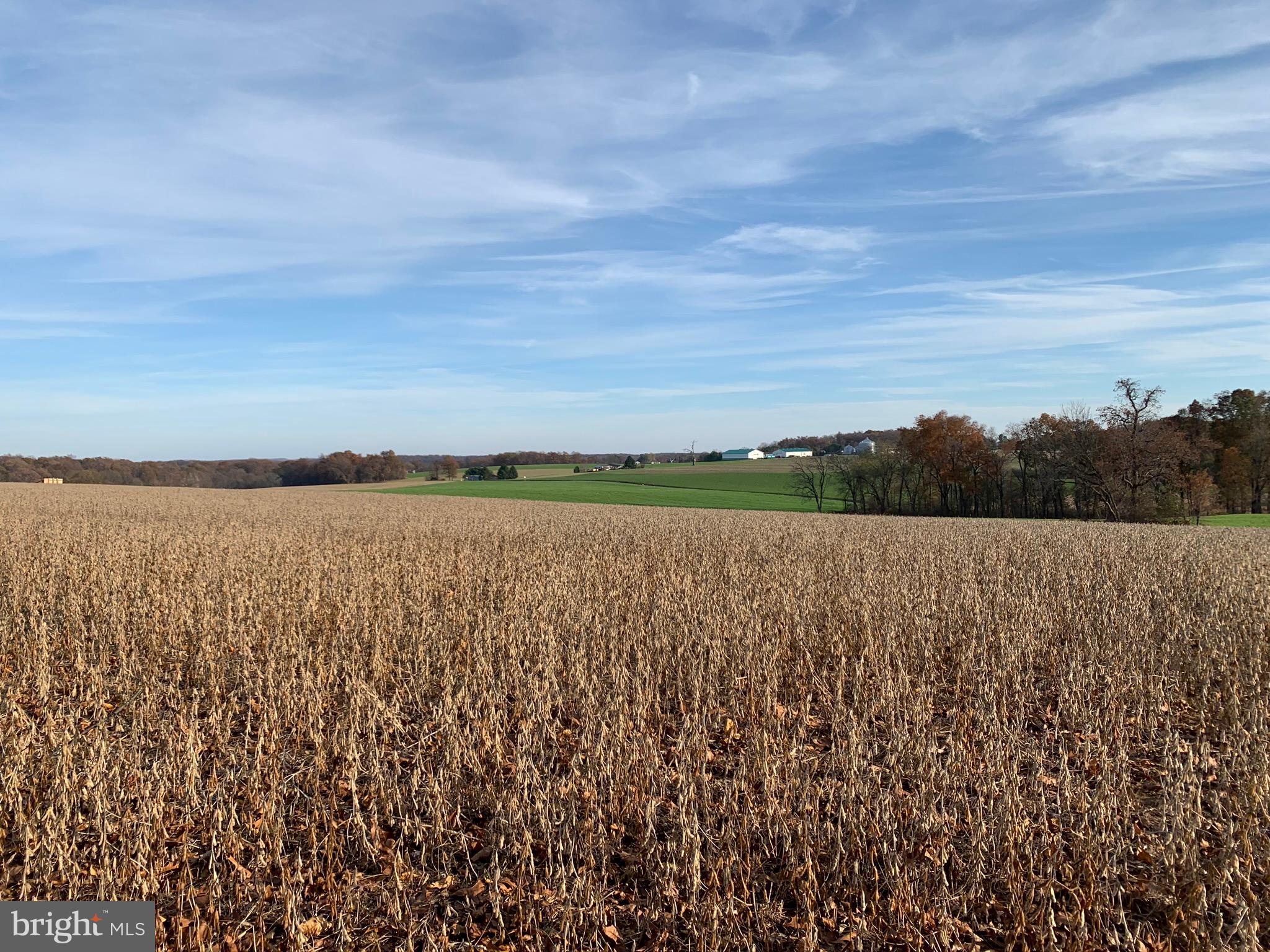 Lot #8 Anderson Road Fawn Grove, PA 17321 - Photo 3 of 4 Gallery Image 3