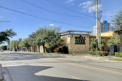 a view of a yard with plants and trees