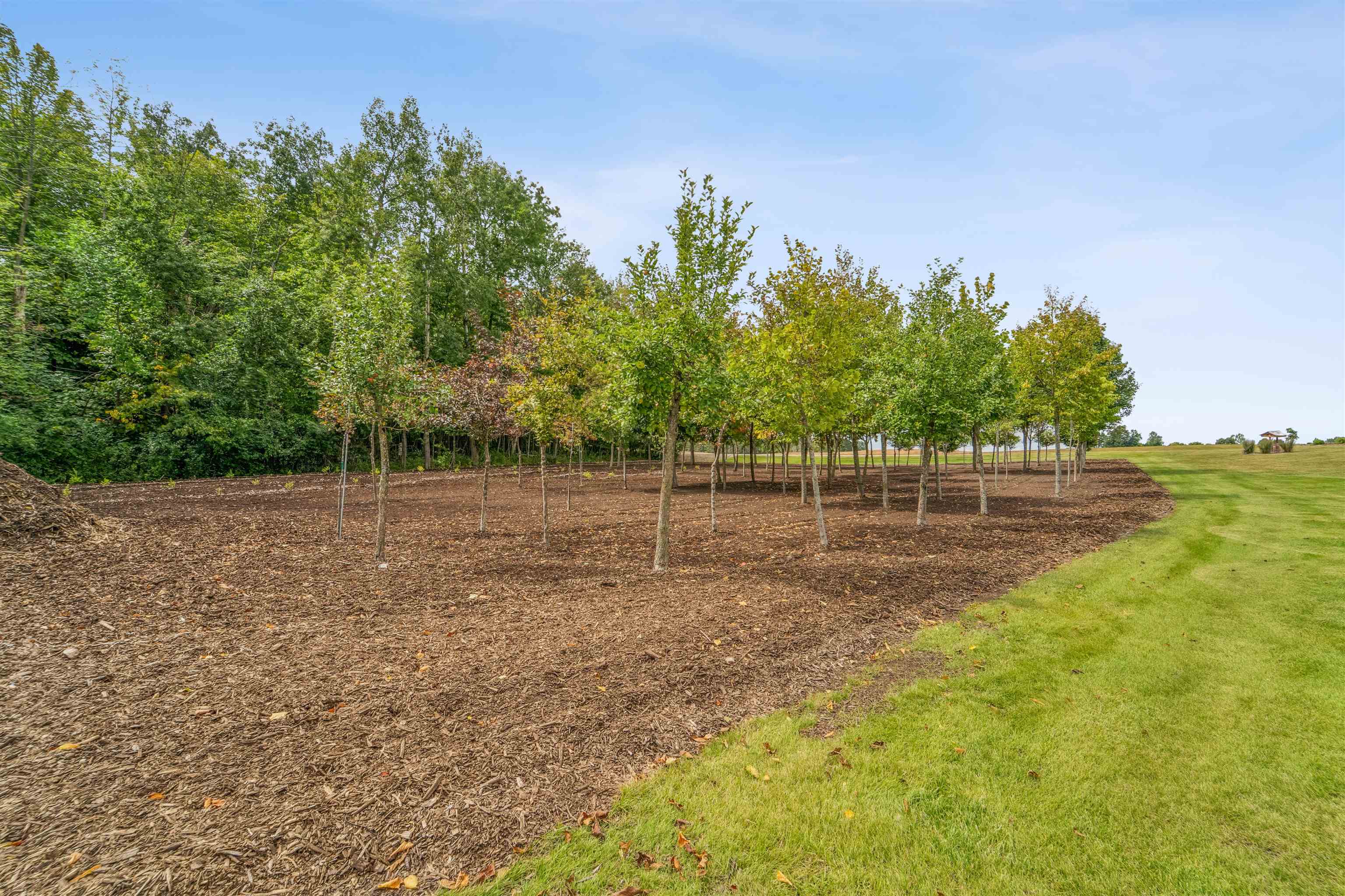 N1100 Wood Lane Pulaski, WI 54162 - Photo 65 of 84