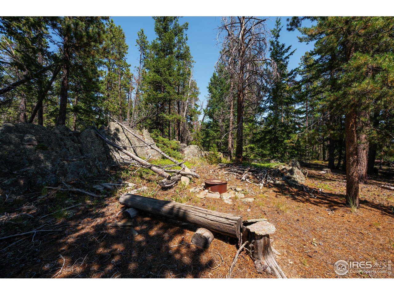 122 Elk Way Drake, CO 80515 - Photo 31 of 43 a view of an outdoor space