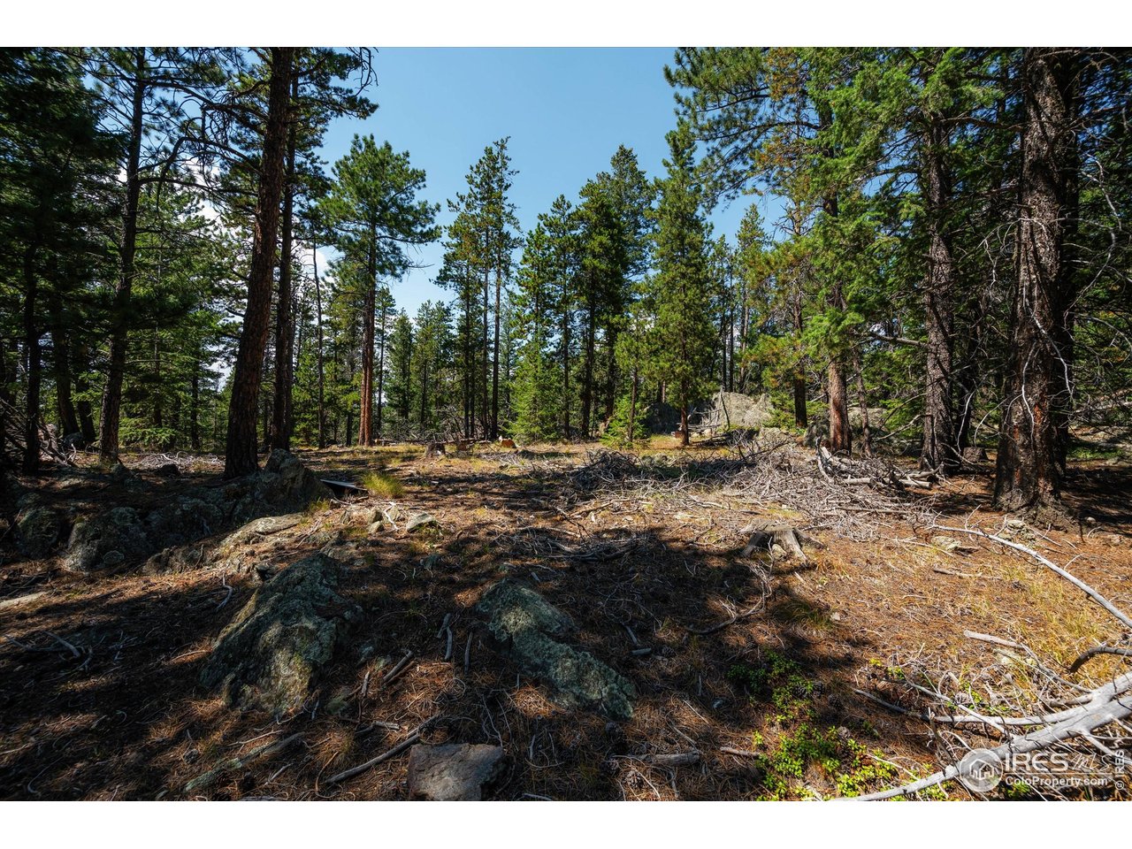 122 Elk Way Drake, CO 80515 - Photo 32 of 43 a view of outdoor space and yard