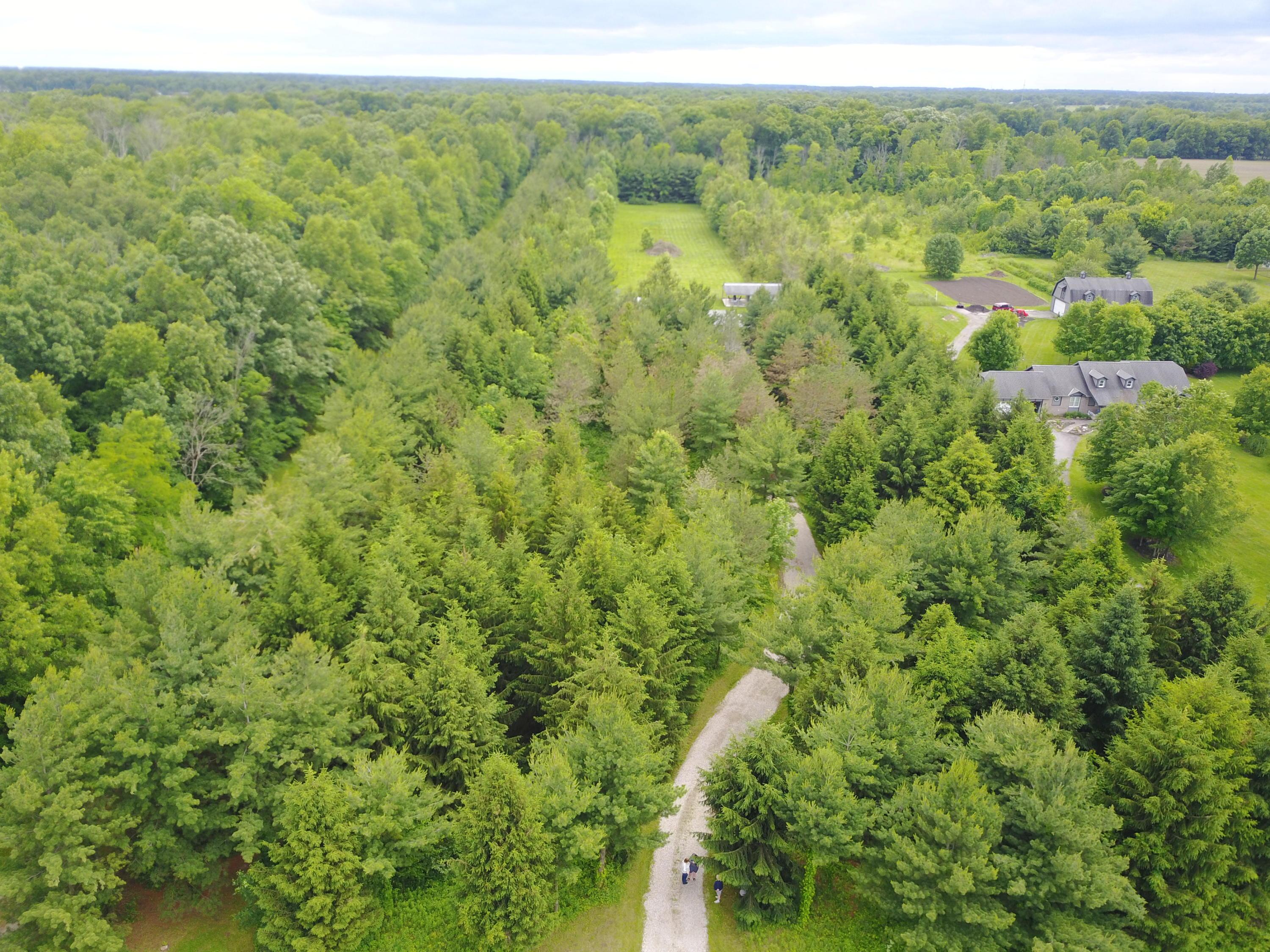 12730 Gorsuch Road Galena, OH 43021 - Photo 6 of 52 Gallery Image 6