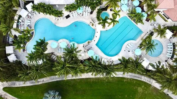 a view of a swimming pool with a garden