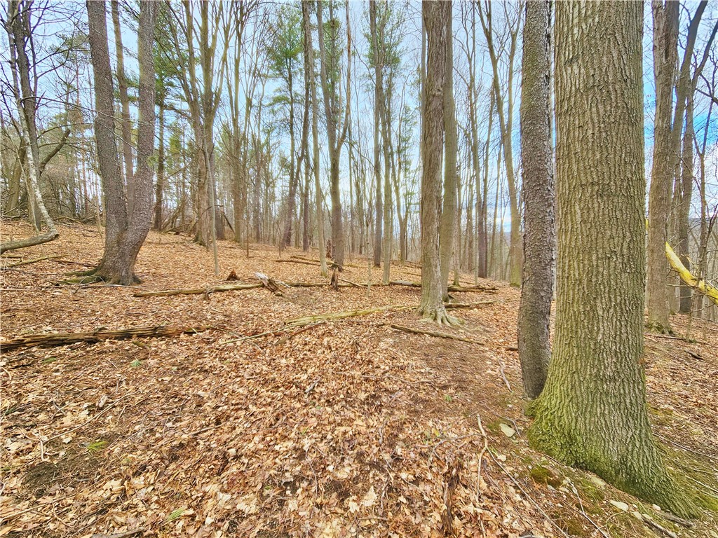 2130 Guyanoga Road Jerusalem, NY 14527 - Photo 23 of 26