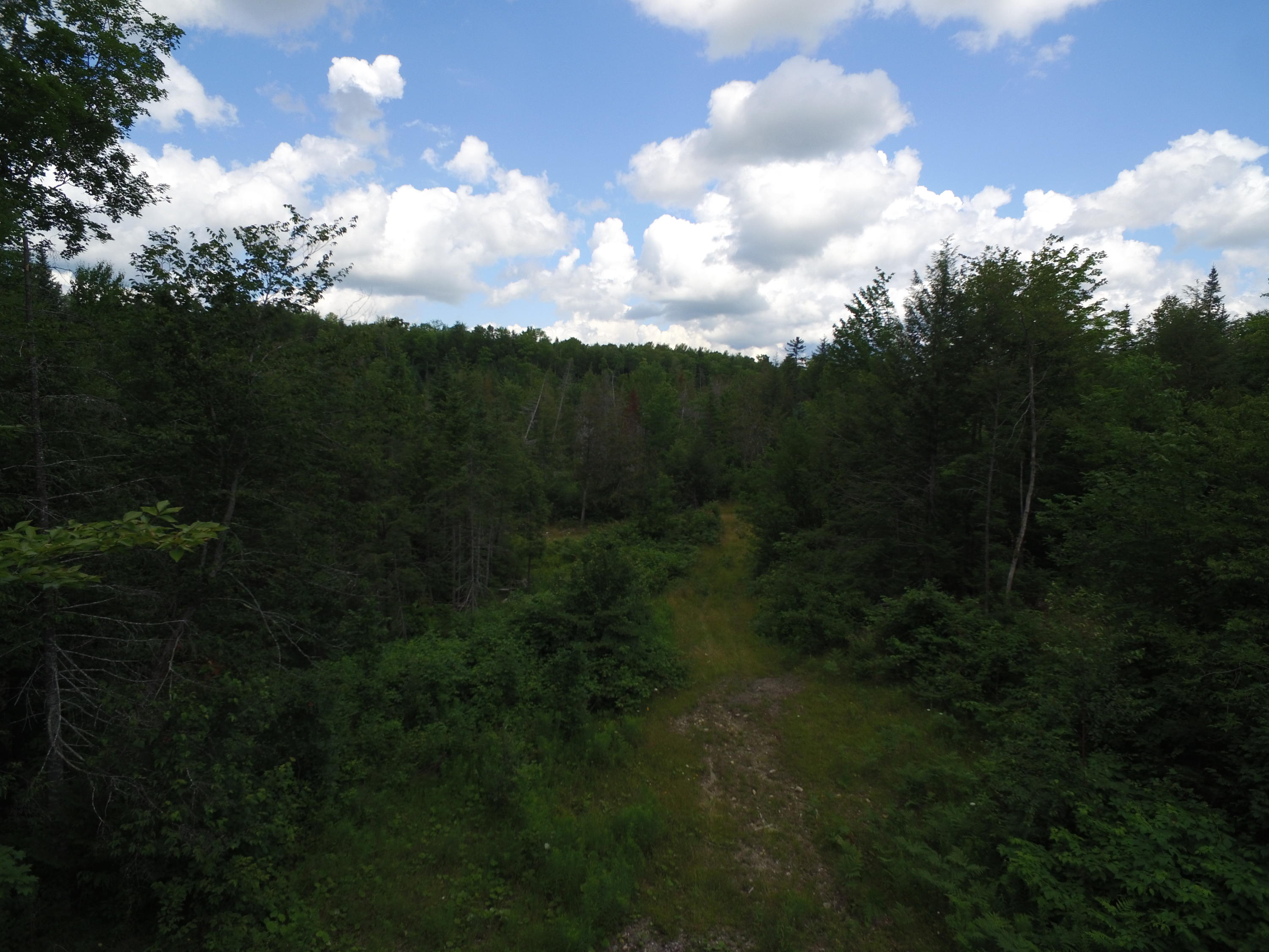 Lot 2 Maxwell Road Lee, ME 04455 - Photo 10 of 11 DJI_0138