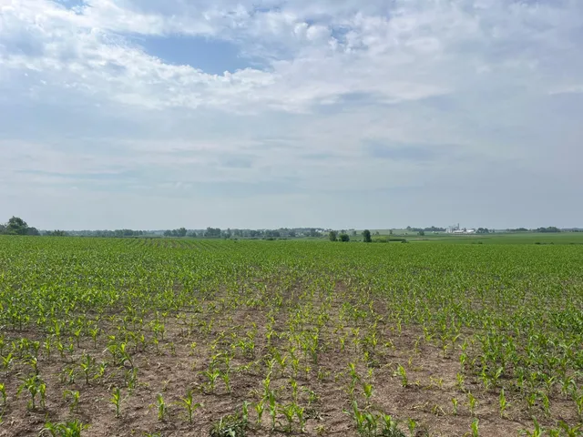 $1,300,000 | 63-acres Meek, Arlington, WI 53911