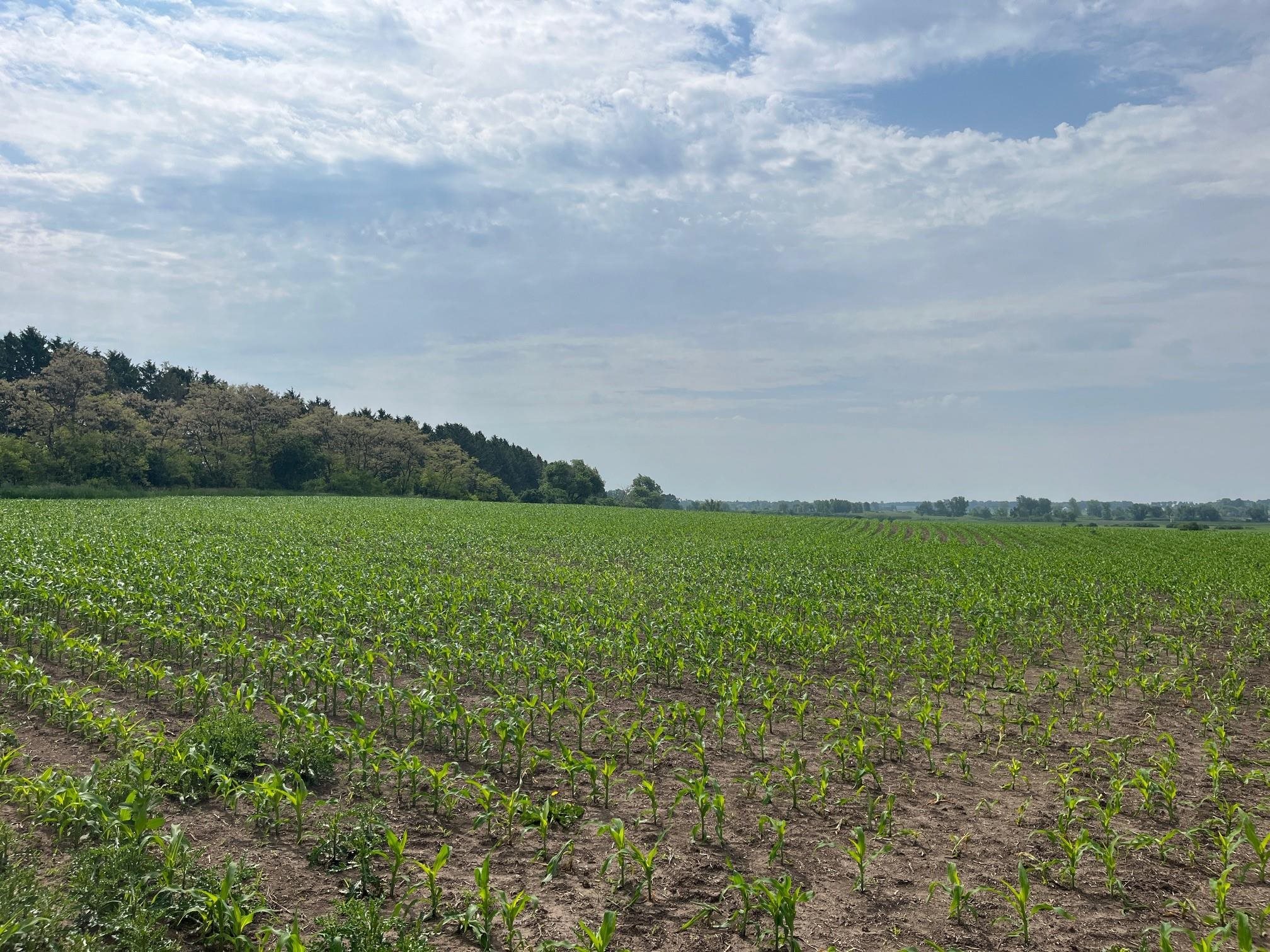 63-acres Meek Arlington, WI 53911 - Photo 2 of 13
