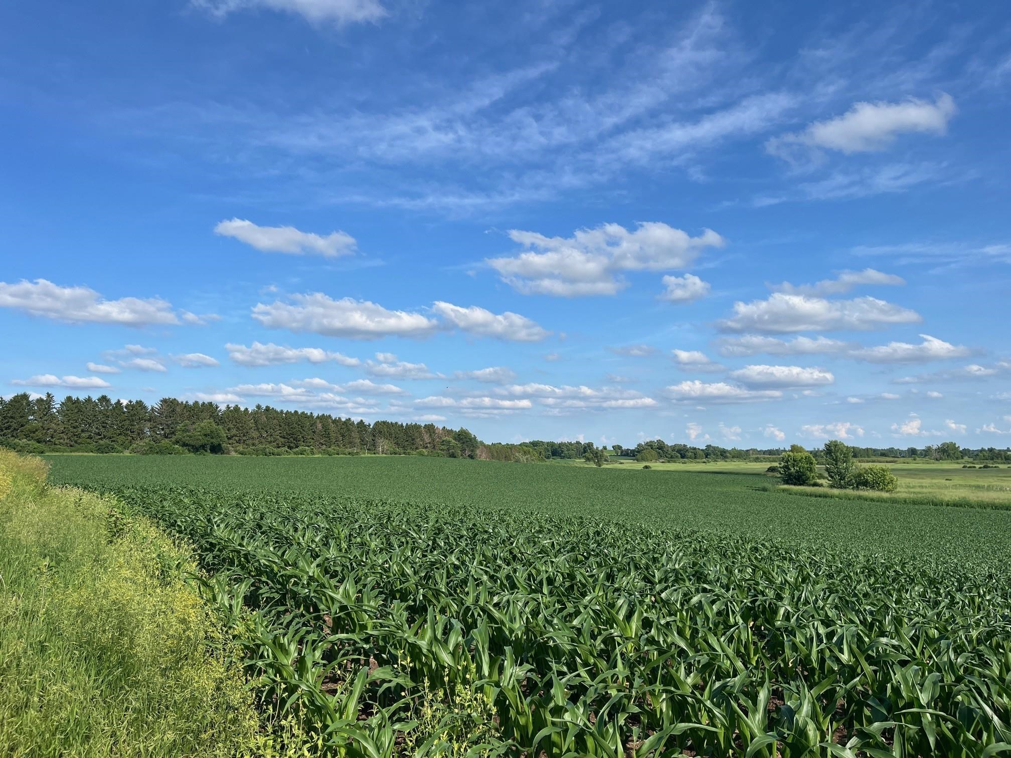 63-acres Meek Arlington, WI 53911 - Photo 3 of 13