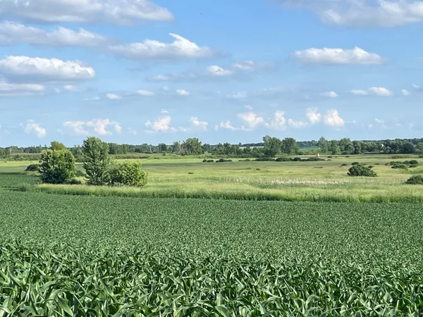 $1,300,000 | 63-acres Meek, Arlington, WI 53911