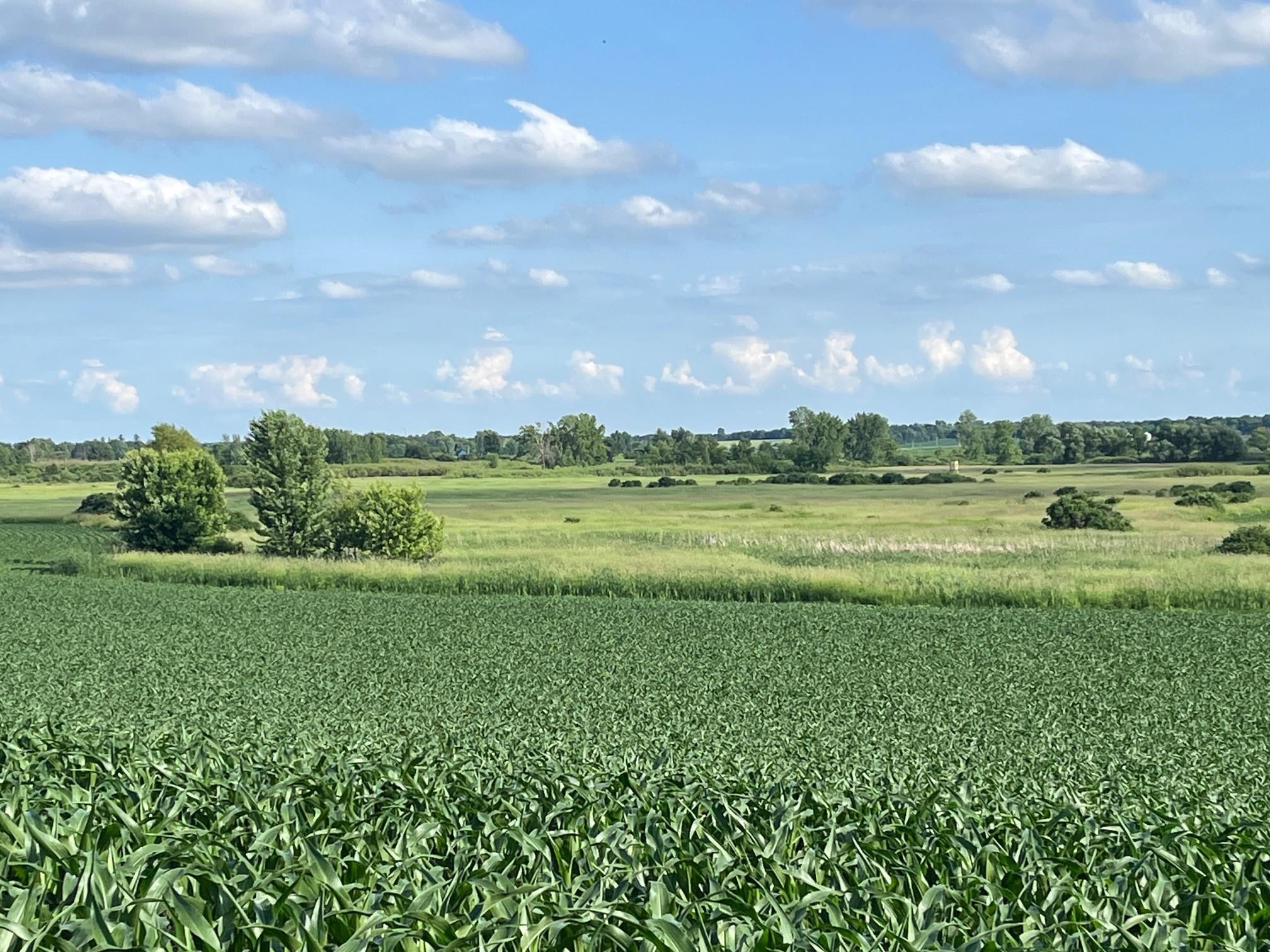 63-acres Meek Arlington, WI 53911 - Photo 4 of 13