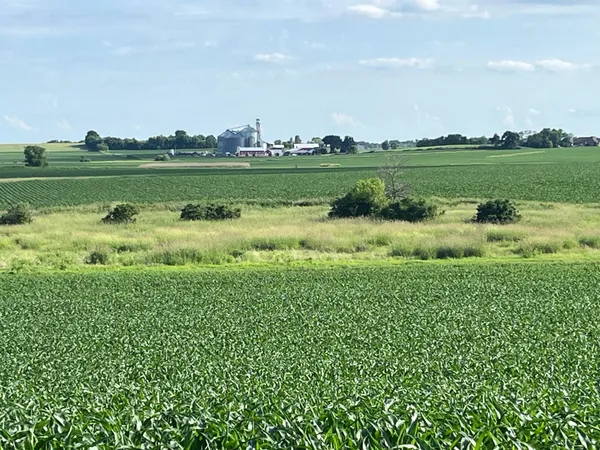 $1,300,000 | 63-acres Meek, Arlington, WI 53911