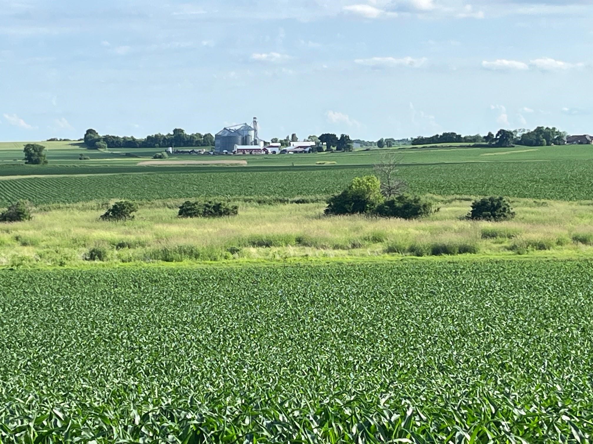 63-acres Meek Arlington, WI 53911 - Photo 5 of 13