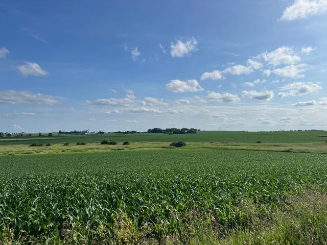 $1,300,000 | 63-acres Meek, Arlington, WI 53911