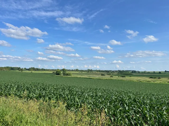 $1,300,000 | 63-acres Meek, Arlington, WI 53911
